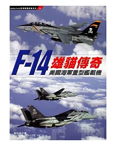 雄貓傳奇：F-14美國海軍重型艦載機