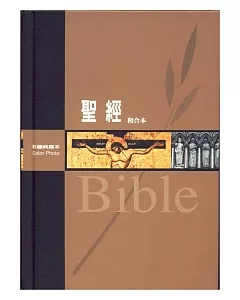 聖經：彩圖典藏本聖經(姆指索)