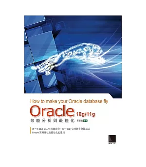 Oracle 10g/11g 效能分析與最佳化