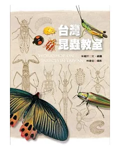 台灣昆蟲教室