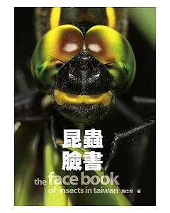 昆蟲臉書