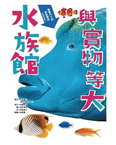 與實物等大：水族館