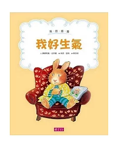 我的感覺：我好生氣(30萬冊紀念版)