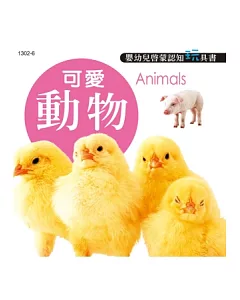 可愛動物