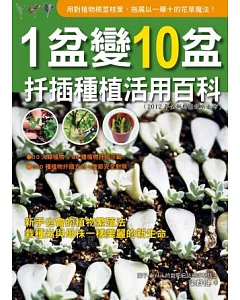 1盆變10盆扦插種植活用百科(2012年全新封面改版上市)