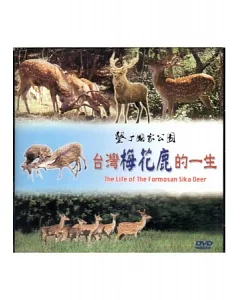 台灣梅花鹿的一生DVD