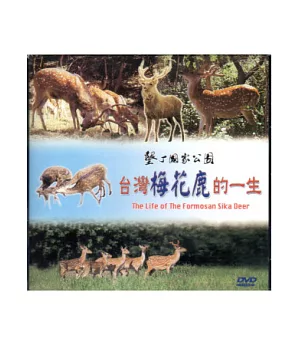 台灣梅花鹿的一生DVD