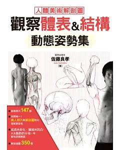 觀察體表&結構 動態姿勢集：最標準的人體美術解剖圖！這樣畫人物，才逼真！