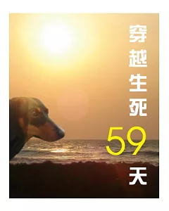 穿越生死59天