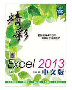 精彩 Excel 2013 中文版