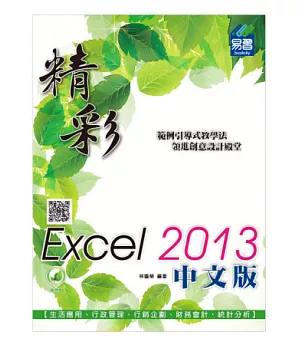 精彩 Excel 2013 中文版