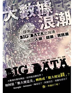 大數據浪潮：探索BIG DATA之洶湧，找出人潮、錢潮、資訊潮