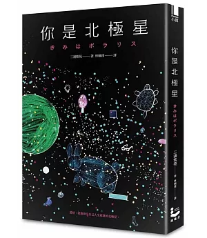 你是北極星