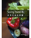Sony Nex-6 呈現完美的意圖