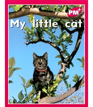 PM Plus Magenta (2) My Little Cat