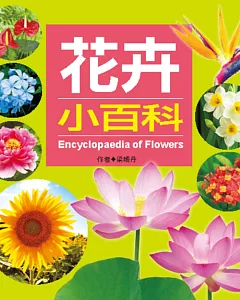 兒童百科：花卉小百科