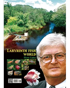 Labyrinth Fish World