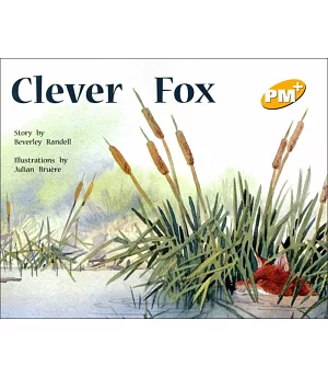 PM Plus Yellow (6) Clever Fox