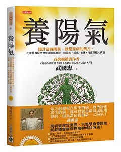 養陽氣：提升自身陽氣，就是百病的藥方，北京最貴醫生教你遠離高血壓、糖尿病、經痛、B肝、痔瘡等惱人疾病