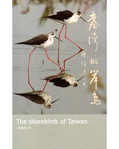 臺灣的岸鳥