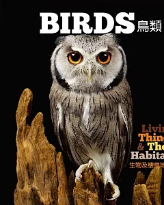 【幼兒科普】生物及棲息地系列：鳥類