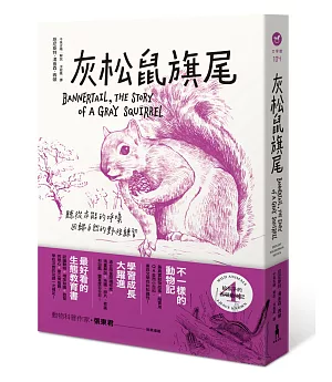 給孩子的西頓動物記4：灰松鼠旗尾