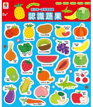 孩子第一套學習磁鐵：認識蔬果(內附蔬果磁鐵24個)