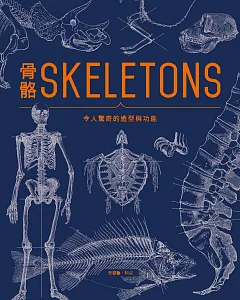骨骼SKELETONS：令人驚奇的造型與功能