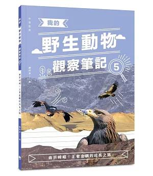 我的野生動物觀察筆記5：曲折崎嶇！王者金鵰的成長之路