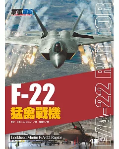 F22 猛禽戰機