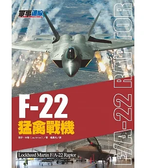 F22 猛禽戰機
