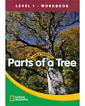 World Windows 1 (Science): Parts of a Tree Workbook