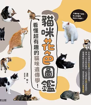 貓咪花色圖鑑：看懂超有趣的貓咪遺傳學！