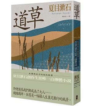 道草：孤獨與迷茫的極致臨摹，夏目漱石創作生涯唯一自傳體小說