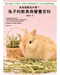 兔兔喜歡吃什麼？兔子的飲食與營養百科