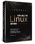 大師養成起手式：從核心真正了解Linux運作原理