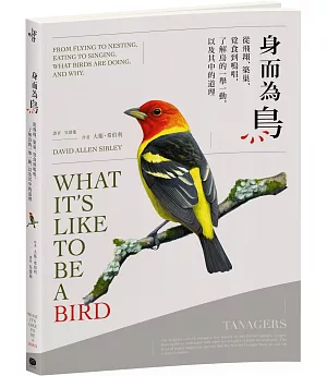 身而為鳥：從飛翔、築巢、覓食到鳴唱，了解鳥的一舉一動，以及其中的道理