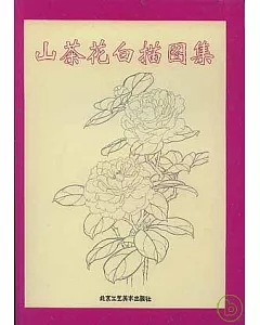 山茶花白描圖集