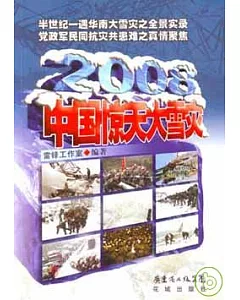 2008中國驚天大雪災