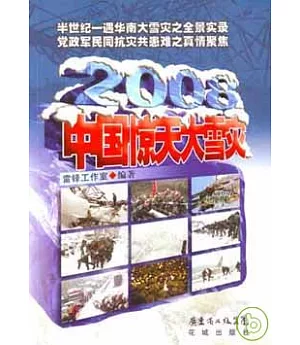 2008中國驚天大雪災