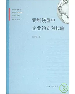 知識跨境傳導與跨國公司R&D全球化戰略(全九冊)