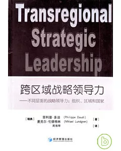 跨區域戰略領導力——不同層面的戰略領導力：組織、區域和國家
