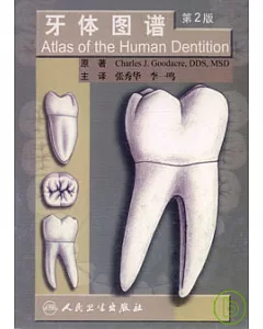 牙體圖譜