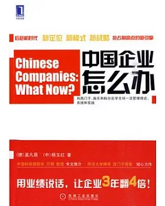 中國企業怎麼辦︰目標、標桿對比和創新戰略等的應用和實踐