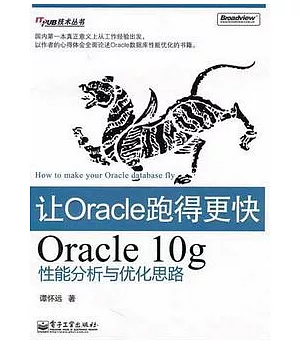 讓Oracle跑得更快︰Oracle 10g性能分析與優化思路