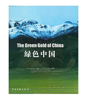 綠色中國