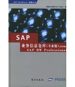 SAP業務信息倉庫(專業版)(影印版)