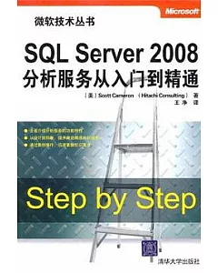 SQL Server 2008分析服務從入門到精通