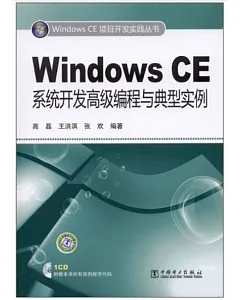 Windows CE系統開發高級編程與典型實例