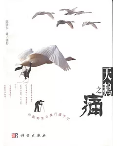 天鵝之痛︰中國野生鳥類行攝手記